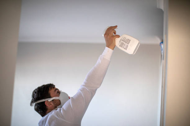 Best Same-Day Mold Removal  in Buxton, NC