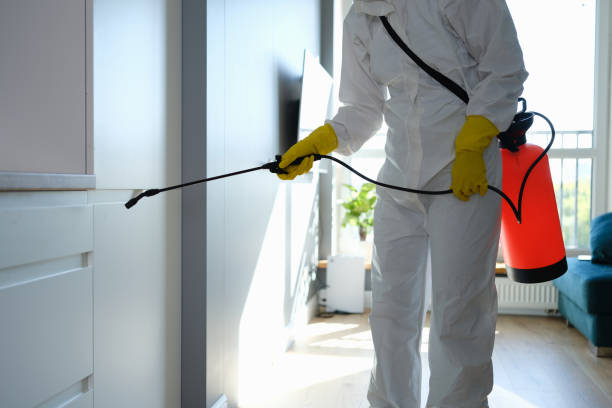 Best Crawl Space Mold Removal  in Buxton, NC
