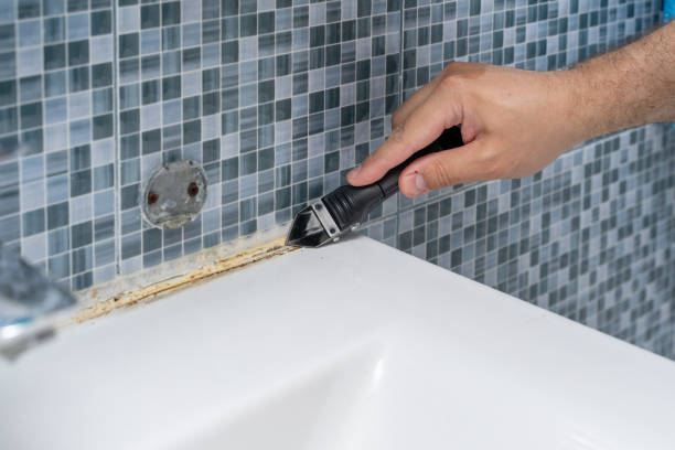 Best Home Mold Removal  in Buxton, NC